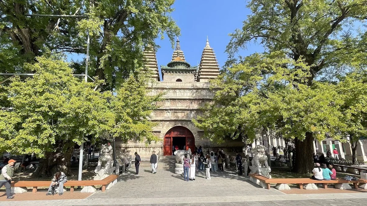 Diamond Throne Pagoda bracketed by gingko trees.
