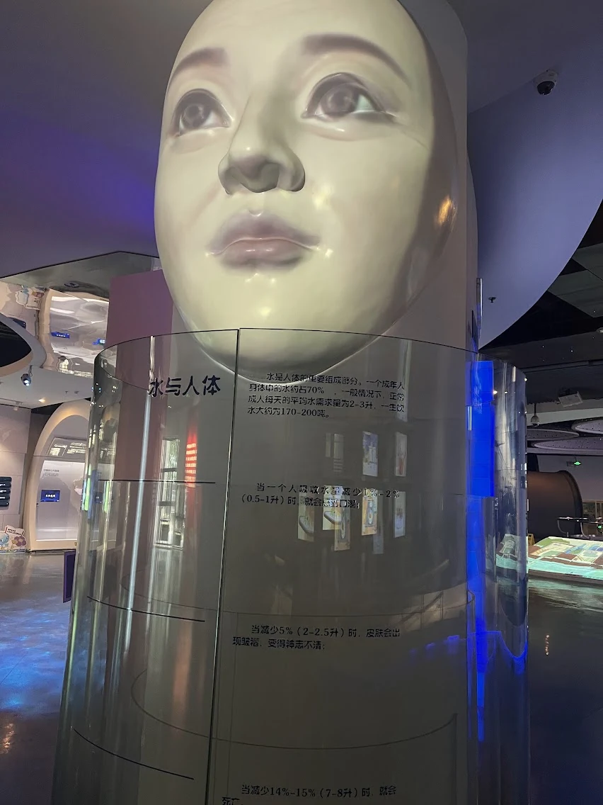 An interactive exhibit about water in the human body, with a virtual figure on screen